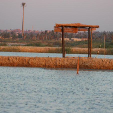 Kom El Dikka Agri Lodge ‘Izbat an Nāmūs Exteriér fotografie