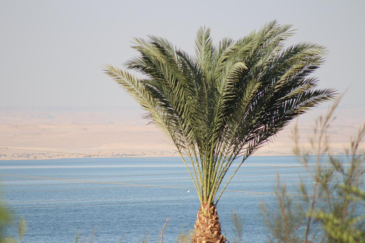 Kom El Dikka Agri Lodge ‘Izbat an Nāmūs Pokoj fotografie