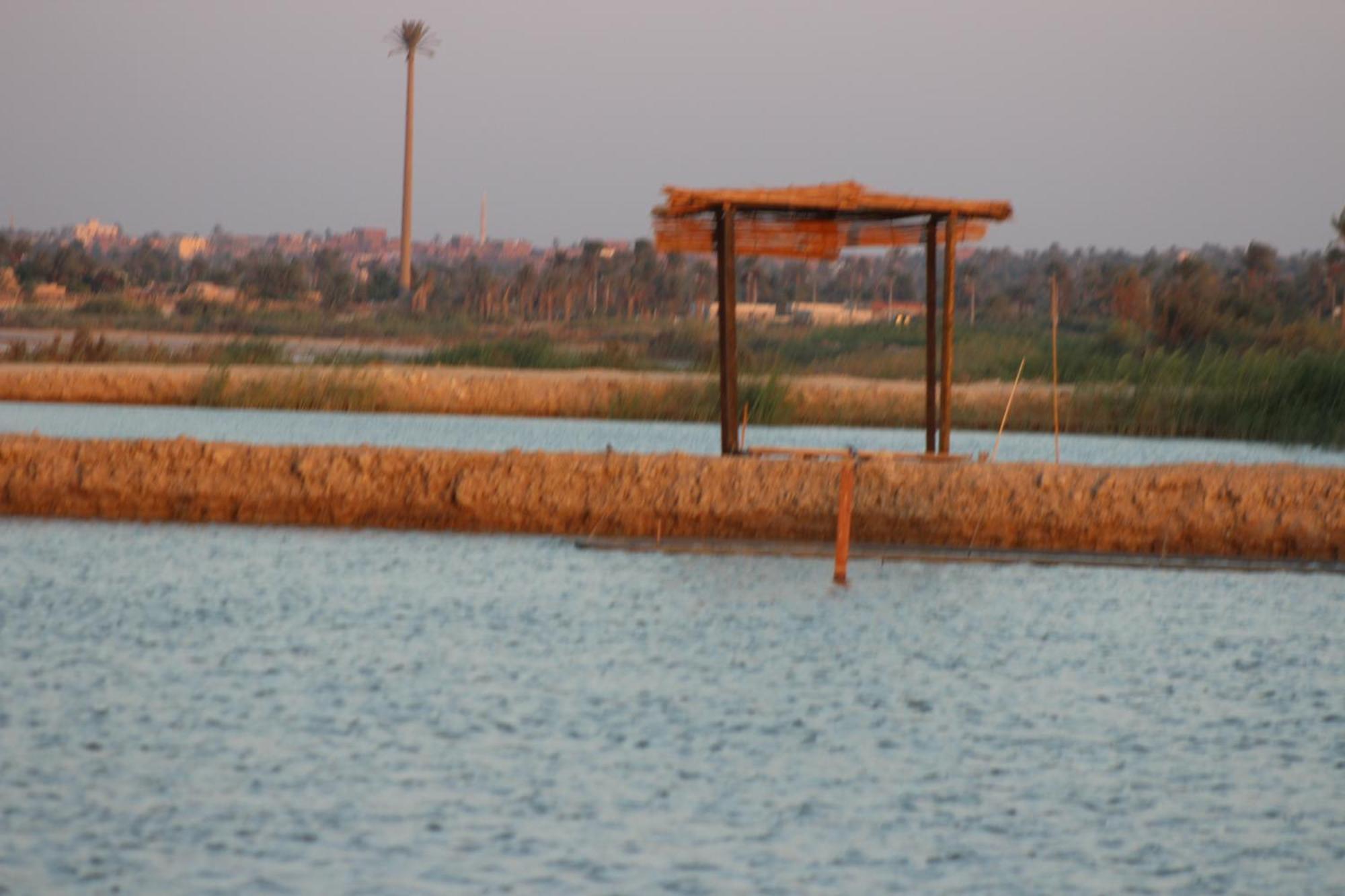 Kom El Dikka Agri Lodge ‘Izbat an Nāmūs Exteriér fotografie